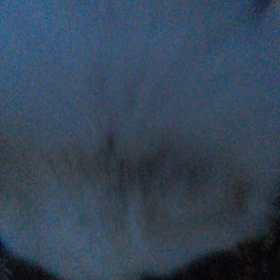 散歩にいったよーの画像