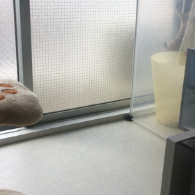 眠い飼い主と朝から元気なヒナタ（笑）の画像