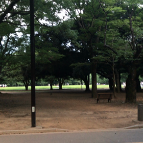 ♪お散歩動画♪代々木公園♪の画像