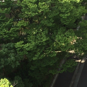 又始まった音量アップで‼️  ( ◠‿◠ )の画像