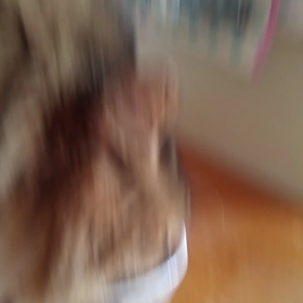 おやつの画像