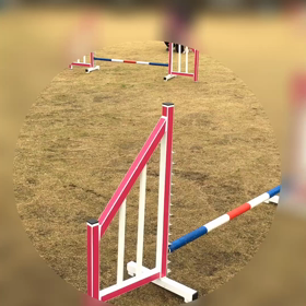 ホップ→ディス→ハウスの画像