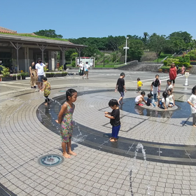 晴れた日曜日の画像