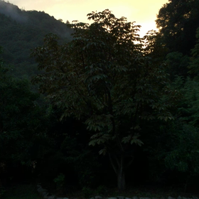 あなたに届けます✴︎の画像