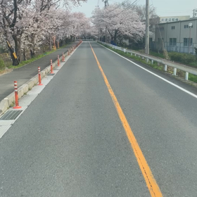 最終日の画像