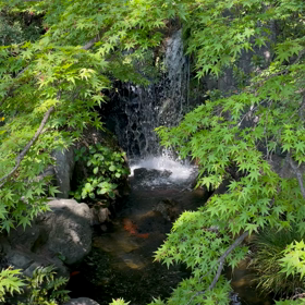 ウォーキングダイエットの画像