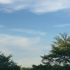 さくらの山公園の画像