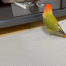 夏バテ予防にの画像