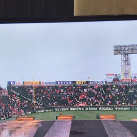 さすがやねの画像