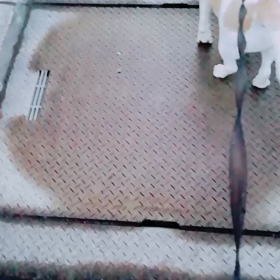 おはよ✩.*˚の画像