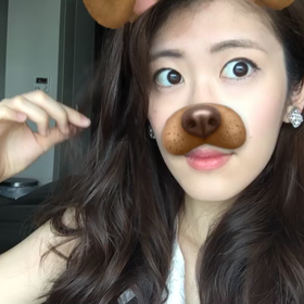 わんちゃんの画像