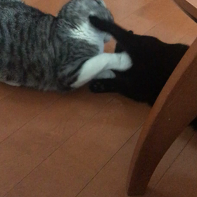 今までで一番！の画像