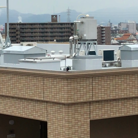 イソヒヨドリを見つけた！！の画像