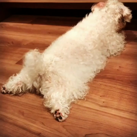 もうどうにも届かない‼️の画像