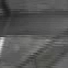 あの3頭の散歩がさらに遅い時間に、好きにさせてる！の画像