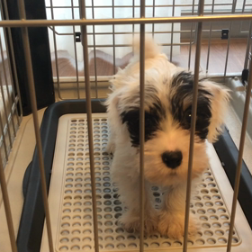 成長したなー(^_−)−☆・・親バカですの画像