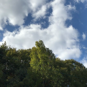 綺麗な空から〜♬の画像