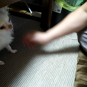 できるかな？できるかな？♪の画像