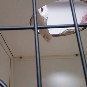 深夜の夜遊びの画像