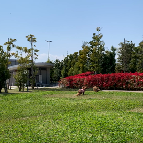 守りたい日常の画像