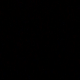 中3息子との親子喧嘩の画像