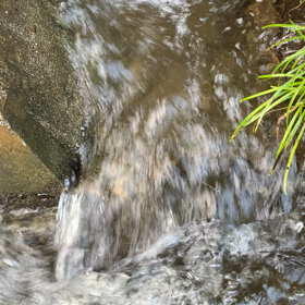 癒されての画像