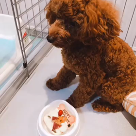 太陽くんお誕生日ケーキ！の画像