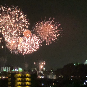 犬山花火の画像