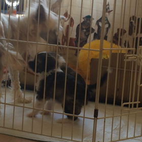 クルクル  クルクル〜♪の画像