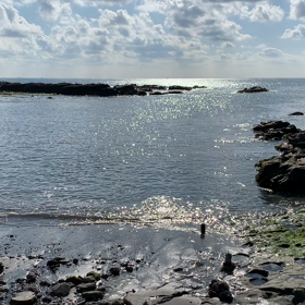 ただの海の動画の画像