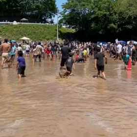 どろんこ祭りに行けず、、、の画像