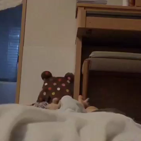 flyingあんちゃんの画像