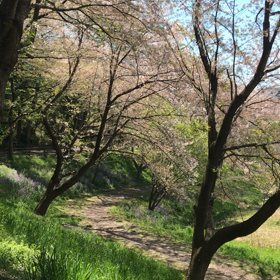 安心感に包まれるの画像