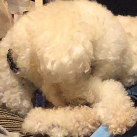 お手入れ中　〰の画像