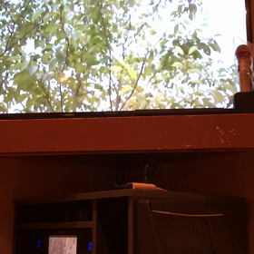 てんすうの画像