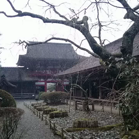 吉野山にて、雪降る境内。の画像