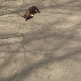 どしてぇーー(。´Д⊂)の画像