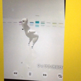 さぁ、これで元気を出しなっ！の画像