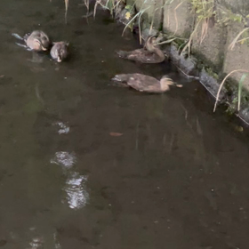 今日の尚整体の画像