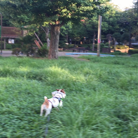 今日はヤル気０の画像