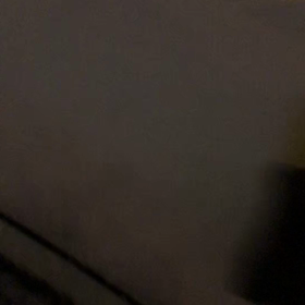 ２時間でこの雪だーの画像