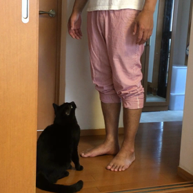 旦那旅立ちました。の画像