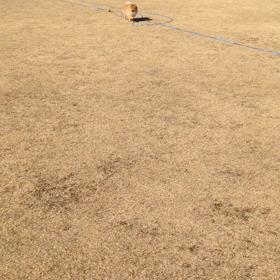 今年もよろしくお願いします☆初動画☆の画像