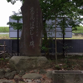 発祥の地。の画像