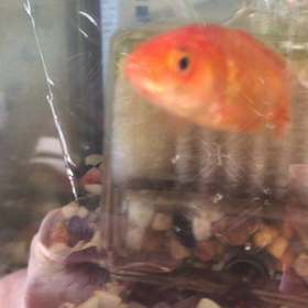 乗り移った❗️の画像