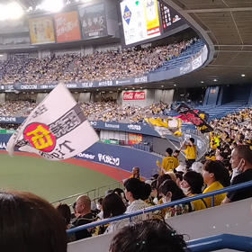 京セラドーム 阪神vs中日の画像