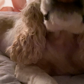 のんびりの今日。の画像