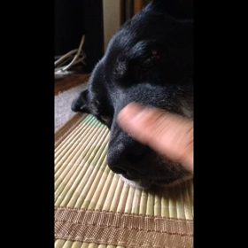 かまってちゃんのオカンの画像