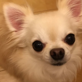 体重管理の画像