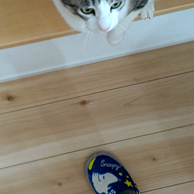 沼津インターおりました！の画像